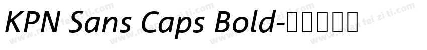 KPN Sans Caps Bold字体转换